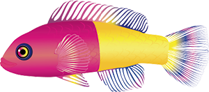 バイカラードティーバック