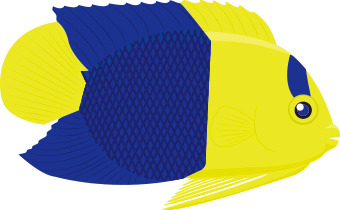 ソメワケヤッコ