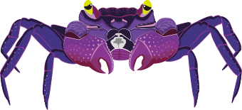 バンパイアクラブ