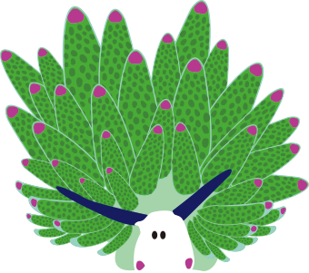 ホホベニモウミウシ